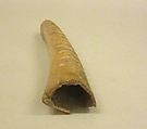 Rasp, bone, Native American (Wapisiana ) Guyanese -Demerara